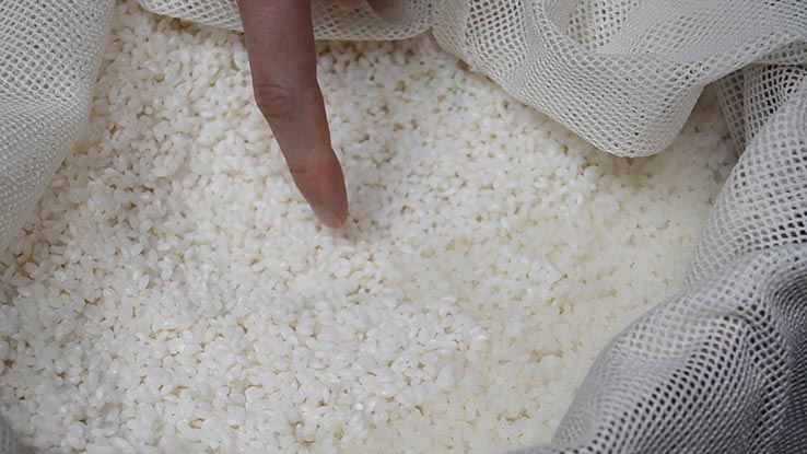 麹づくりワークショップ